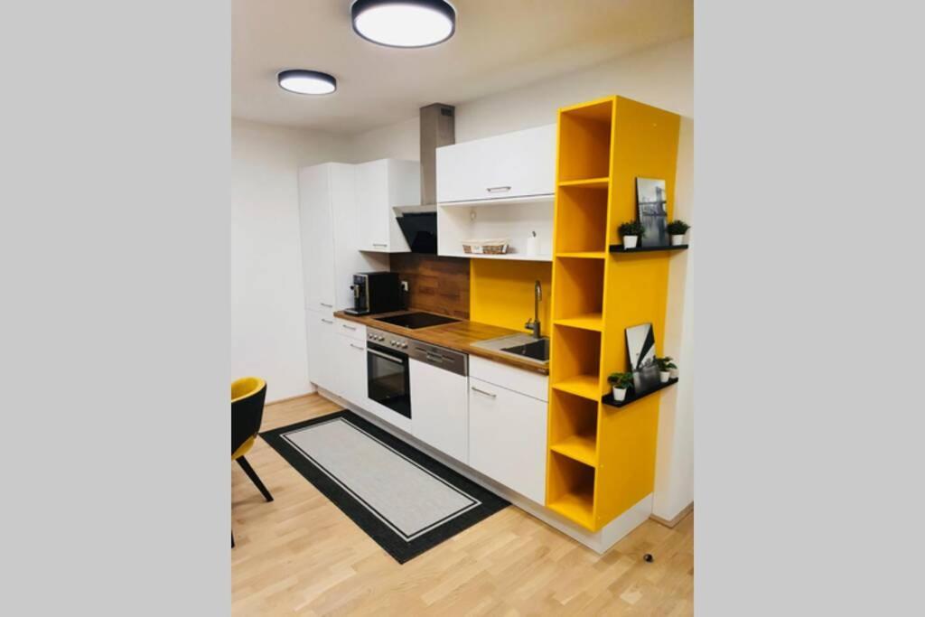 Leon Apartment Neu! Gemuetlichkeit An Erster Stelle Linz Buitenkant foto
